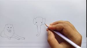 How To Draw Zoo Step By Step Video Dailymotion We have not covered this theme as yet in our homeschool preschool but it's scheduled to be done soon. how to draw zoo step by step