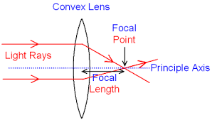Focal Point And Length Of A Convex Converging Lens Focal Point Focal Point Lighting Focal