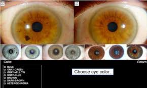 Choosing Eye Color Density Relief Iridology Analysis
