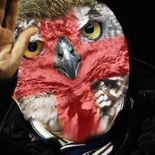 Keep up with the latest daily buzz with the buzzfeed. Owls Who Look Like Roy Hodgson New England Manager S Best Doppelgangers Mirror Online