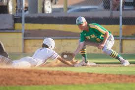 HIGH SCHOOL BASEBALL ROUNDUP: Reed, Rodriguez notch 3 RBIs each, Lions roll  to victory