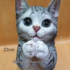 Harga kucing anggora anakan dan kucing anggora dewasa baik yang jantan, betina, hitam, putih, abu abu dan pandun lengkap memastikan kualitas kucing sebelum membeli di jakarta, surabaya, tangerang, medan, malaysia, himalaya dan kota lainya bersama kucingmu.com. Harga Kucing Anggora Persia Terbaru Mei 2021 Biggo Indonesia