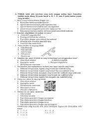Pembaca sekolahmuonline, berikut ini kami posting untung anda yang duduk di kelas x sma/ma contoh soal essay biologi bab fungi (jamur) yang kami rujuk dari ebook biologi. Soal Pilganda Essay Jamur