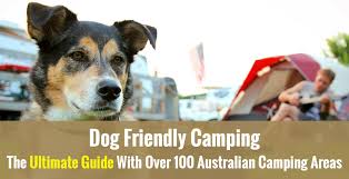 Check spelling or type a new query. Dog Friendly Camping The Ultimate Guide With Over 100 Australian Camping Areas Paw Life