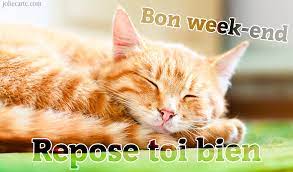 Carte virtuelle «Bon week-end» avec un chat endormi