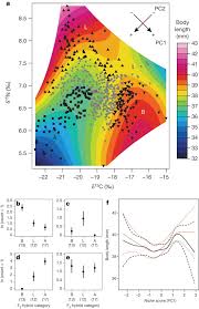 Triangle, the properties of its angles and sides illustrated with colorful pictures , illustrations and examples. Genetics Of Ecological Divergence During Speciation Nature