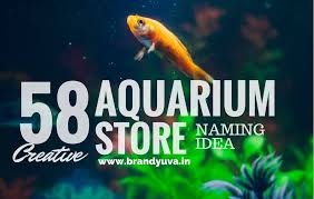 58 Best Aquarium Shop Names Idea Brandyuva In Shop Name Ideas Aquarium Shop Store Names Ideas