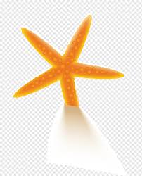 Maybe you would like to learn more about one of these? Starfish Orange Beach Starfish Watercolor Painting Beach Orange Png Pngwing