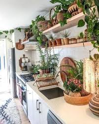Obsessed With This Kitchen Jungle In 2020 Bohemian Kitchen Decor Bohemian Kitchen Boho Kitchen