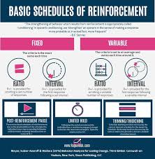 Download This Free Graphic From Rogue Aba To Help You Master The Basic Schedules Of Reinforc Aba Therapy Activities Aba Therapy For Autism Operant Conditioning