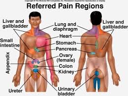 Pin On Health
