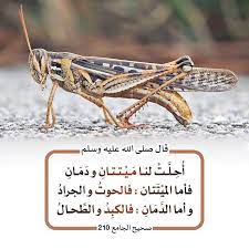 pin by al yamama on أحاديث نبوية ahadith islam quran hadith