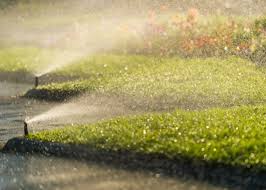 Check spelling or type a new query. Irrigation Service Evergreen Lawn Care And Landscaping