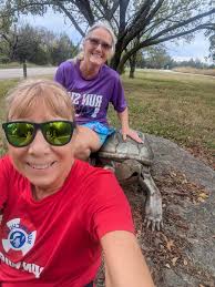 Along the trail today in Lanesborough, very large snapping turtle.