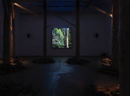 Jungle Memory — Dittrich & Schlechtriem