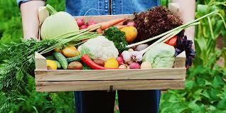 La puglia fa il pieno di vacanzieri per il ponte del 2 giugno, per molti si tratta di un… Alimentazione Dopo Infarto Educazione Nutrizionale Grana Padano