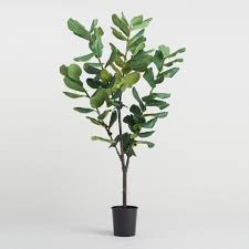Grass plant 30cm $ 17.27 $ 10.91 ex gst. Best Fake Plants That Look Real Popsugar Home