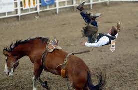 Lous freund carl aus new york kommt zu besuch nach heartland, und jeder will wissen, wie lange er bleibt. 100 Jahre Calgary Stampede Acht Sekunden Auf Dem Wilden Pferd Panorama Stuttgarter Zeitung