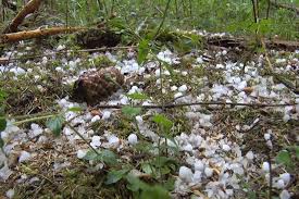 Übersicht & infos zu feiertagen 2020 in österreich: Gewitter Beenden Sommerwetter Fotostrecke Wetteronline
