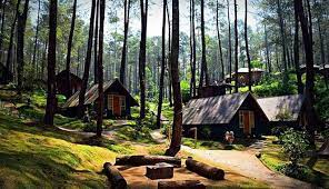 #23 bandung treetop adventure park. Cikole Bandung Wisata Terpadu Selalu Indah Dari Waktu Ke Waktu