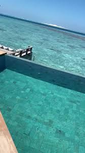 Walter temmer 6 дней назад. Warst Du Schon Einmal Alleine Auf Einer Insel Malediven Walter Temmer In Tiktok Exolyt