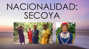 En la provincia de pastaza. Revista Digital De Los Pueblos Y Nacionalidades De Ecuador By Lesliebr Issuu