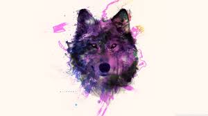 What is a desktop wallpaper? Pink Wolf Wallpapers Top Free Pink Wolf Backgrounds Wallpaperaccess