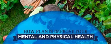 A perfect coffee table book for any avid gardener, available at basheer graphic books for $45. Psychological Benefits Of Plants Horticulture Therapy