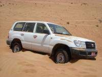 This vehicle has 391000 km and petrol engine. Gasoline Consumption Toyota Landcruiser Landcruiser 4500 Efi Spritmonitor De
