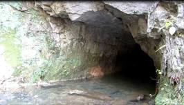 Cave River Valley Day, Spring Mill State Park