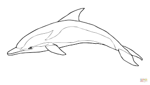 Machen sie sich bereit, treffen sie süße delfine. Striped Dolphin Coloring Page From Dolphins Category Select From 29189 Printable Crafts Of Cart Dolphin Coloring Pages Coloring Pages Printable Coloring Pages