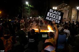 Portland cop calls BLM protesters hypocritical for not having more  minorities than department | Daily Mail Online