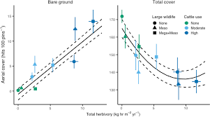 Image result for Rhynchosia holstii