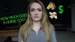 Mineral supplement is also needed by horses. How Much Does Owning A Horse Cost Youtube