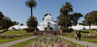 We did not find results for: Sf S Conservatory Of Flowers Reopens On Oct 1
