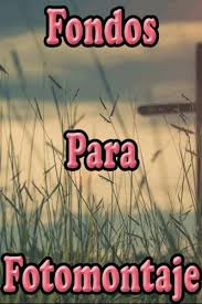 Check spelling or type a new query. Fondos Para Fotomontajes For Android Apk Download