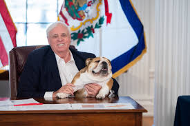 At the clinic our state licensed veterinarians and professional staff will ask you a few questions about your pet's lifestyle. Justice And Team Describe Vaccine Partnership With Walgreens Dominion Post
