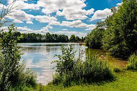 3rd person singular present tense sees , present participle seeing , past tense saw , past participle seen. Erholungsgebiet Am Parsberg Einschliesslich Unbeaufsichtigte Badestelle Germeringer See Stadt Germering