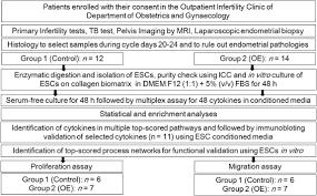 Life is cellular notes #8 what is the cell theory? Endometrial Stromal Cell Inflammatory Phenotype During Severe Ovarian Endometriosis As A Cause Of Endometriosis Associated Infertility Reproductive Biomedicine Online