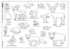 Verschiedene tiere 14 gratis malvorlage in tiere verschiedene tiere ausmalen from www.gratismalvorlagen.com kostenlose. Wald Tiere Pflanzen Wald Grundschule Ausmalbilder Tiere Tiere