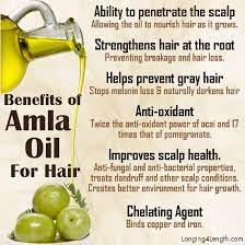 It is traditionally made by drying the fruit and immersing it in a base oil for a. 9 Amla Oil Ideas Amla Oil Amla Hair Loss