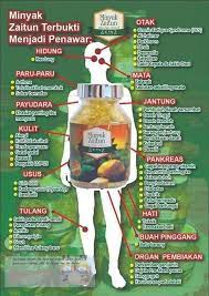 Pengguna digalakkan untuk menggunakan minyak yang sihat, dan ia tidak menetapkan maksima pada peratusan kalori yang perlu diambil setiap hari dari sumber lemak yang sihat. Minyak Zaitun Posts Facebook