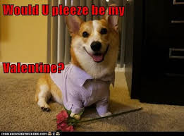 Perfect valentines day card for anyone who loves dogs, memes and funny things on the internet. I Has A Hotdog Valentines Day Funny Dog Pictures Dog Memes Puppy Pictures Pictures Of Dogs Dog Pictures Funny Pictures Of Dogs Dog Memes Puppy Pictures Doge Cheezburger