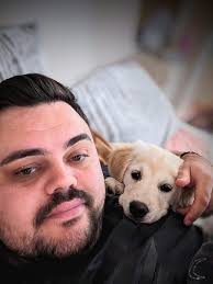 Introduction of a golden retriever puppy