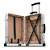 Rimowa Dior