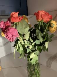 International gifts delivery to usa, uk, canada, australia, india and other countries is also available at 1800giftportal, and the facility ensures timely delivery every time. 12 Best Flower Delivery Services For Every Occassion 2021