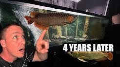 Ryan lochte's wife kayla shows off. The King Of Diy Youtube