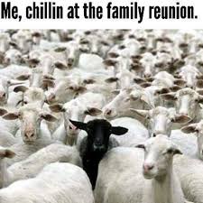 I Might Be The Black Sheep Of The Family Black Sheep Of The Family Black Sheep Of The Family Sheep Meme Sheep Quote