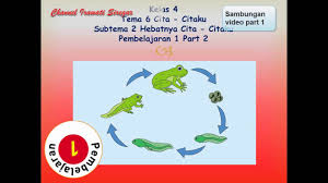 Materi Kelas 4 Tema 6 Sub Tema 2 Pembelajaran 1 Part 2 Youtube