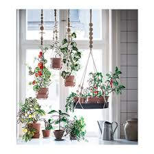 Hej Bei Ikea Osterreich Support Plante Decoration Plante Plantes De Decor De Maison